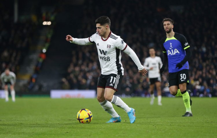 BBC Pundit Suggests Spurs’ Latest Player Acquisition Is Simply to Boost Squad Numbers
