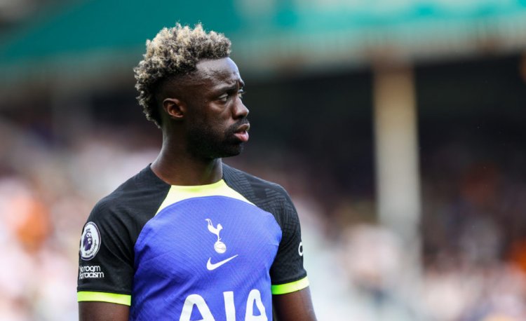 Potential £13m Exit for Pochettino Signee: Tottenham Considers Selling